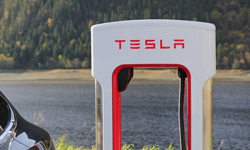 Tesla to invest in India's initiative to construct battery plants